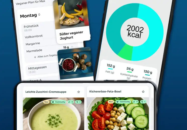 Dein Ernährungsplan - Locomotion Mainz